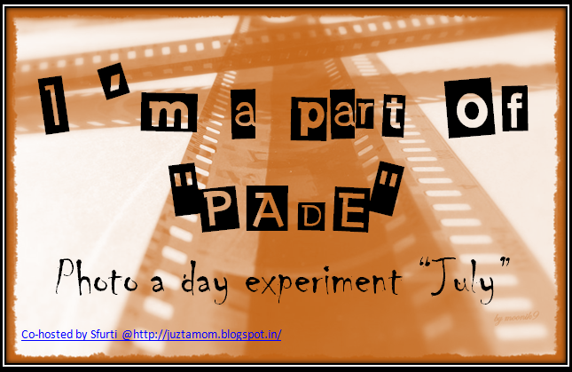 Photo A Day Experiment ! (PADE)